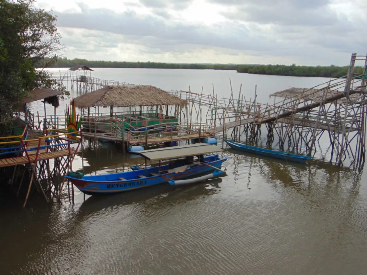 Hutan Payau: Menyusuri Jejak Alam di Tengah Kota Cilacap